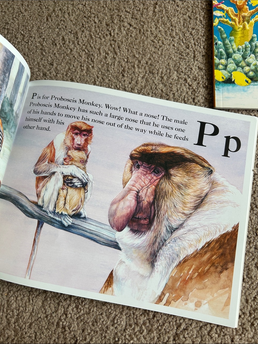 Alphabet Book Collection - Picture 3 of 8